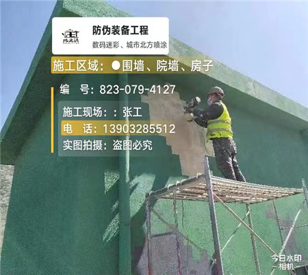 重庆设备迷彩喷涂,迷彩漆施工